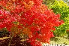 中欧平台 -杩呮嵎鏃犵嚎缃戝崱椹卞姩